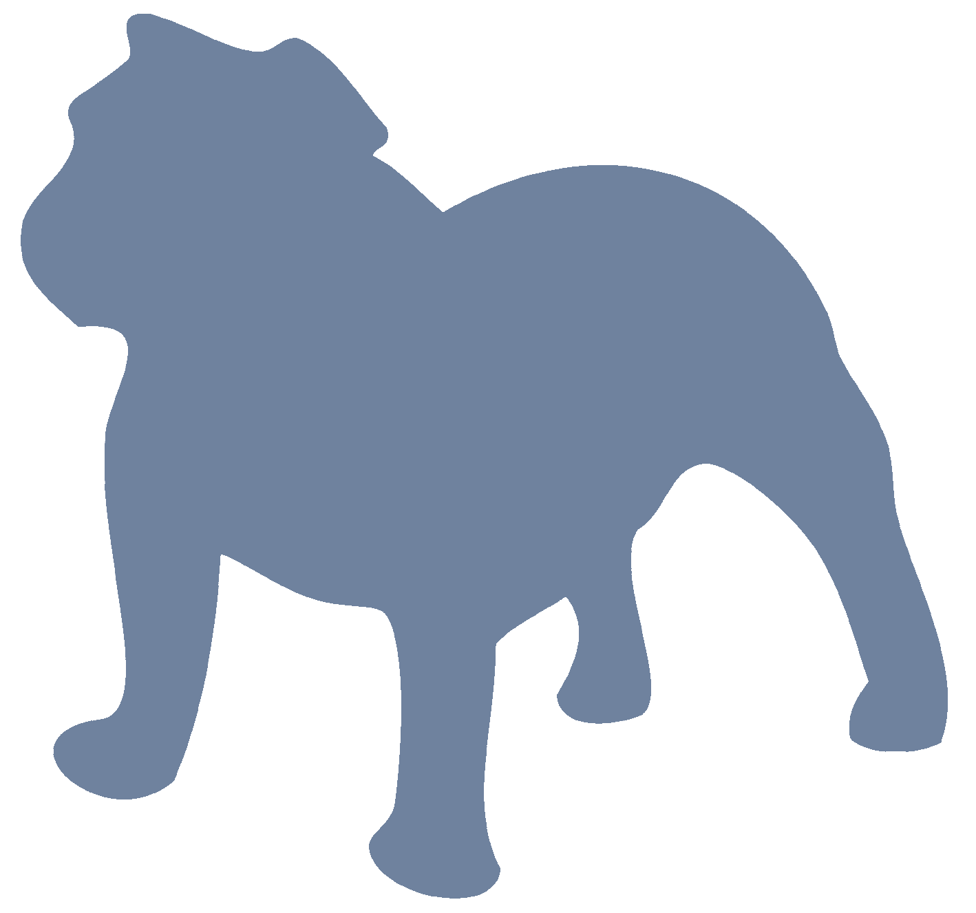 Bulldog