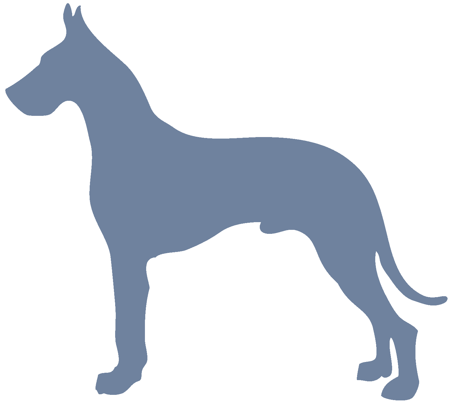 Sighthound