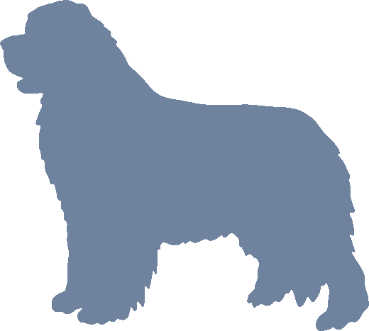 Newfoundland
