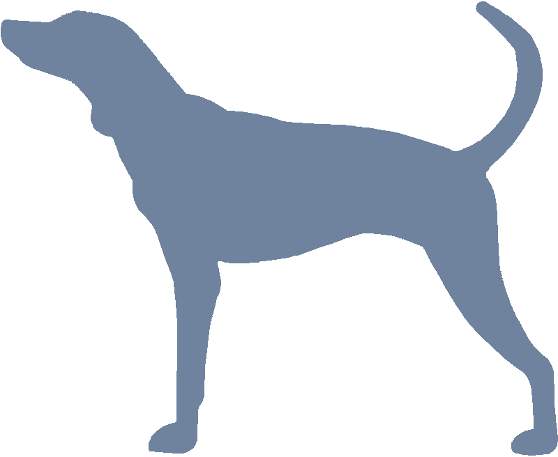 Plott Hound Silhouette