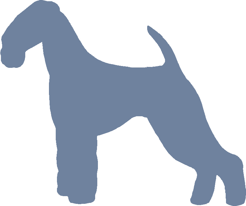 Airedale Terrier