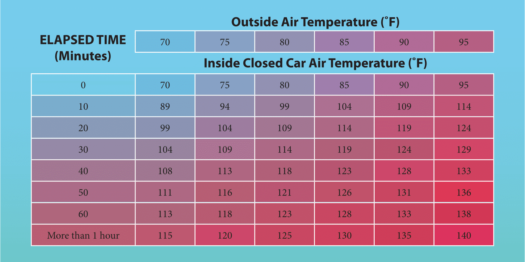 Hot Car Dangers