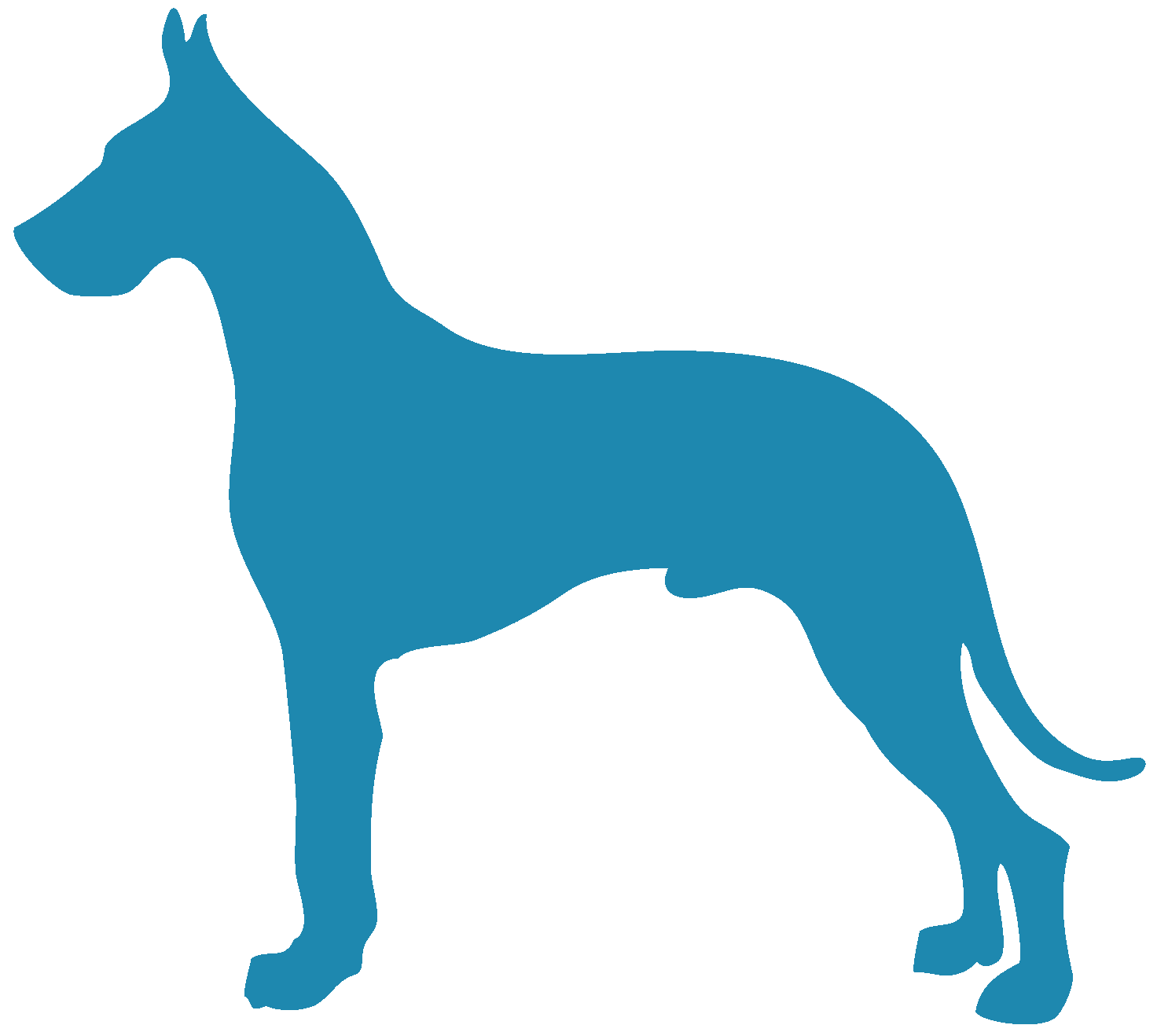 Great Dane