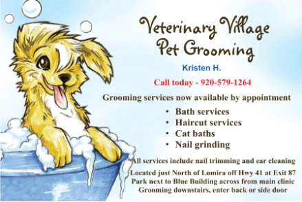 Dog Grooming & Cat Grooming Services