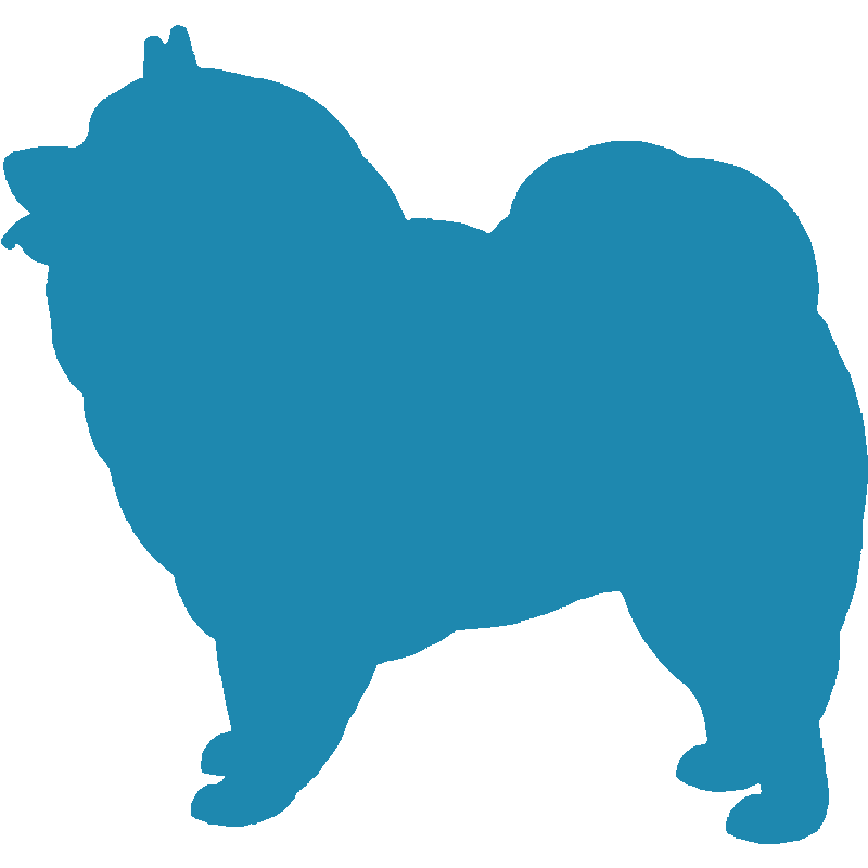 Keeshond