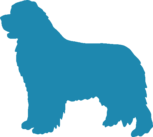 Newfoundland