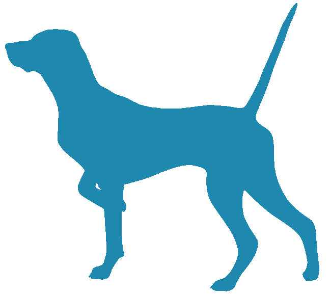 Pointer