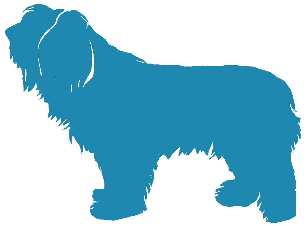Polish Lowland Sheepdog