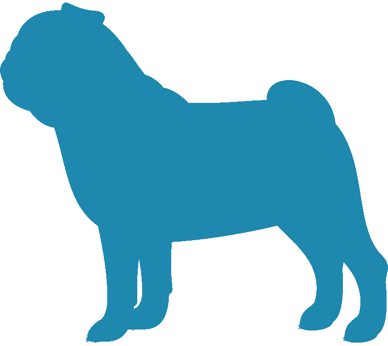 Pug