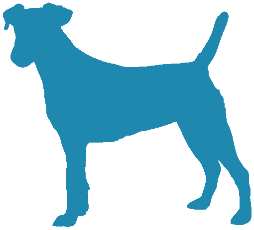 Smooth Terrier
