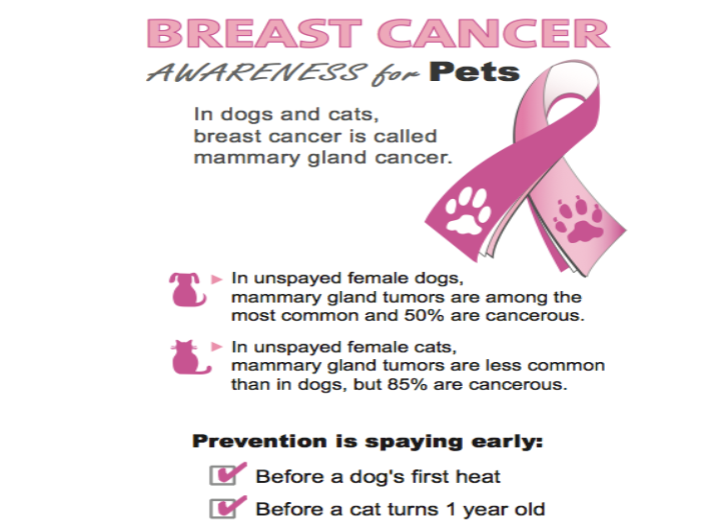 breastcancerawareness