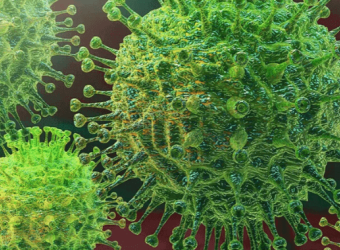May Update About COVID-19